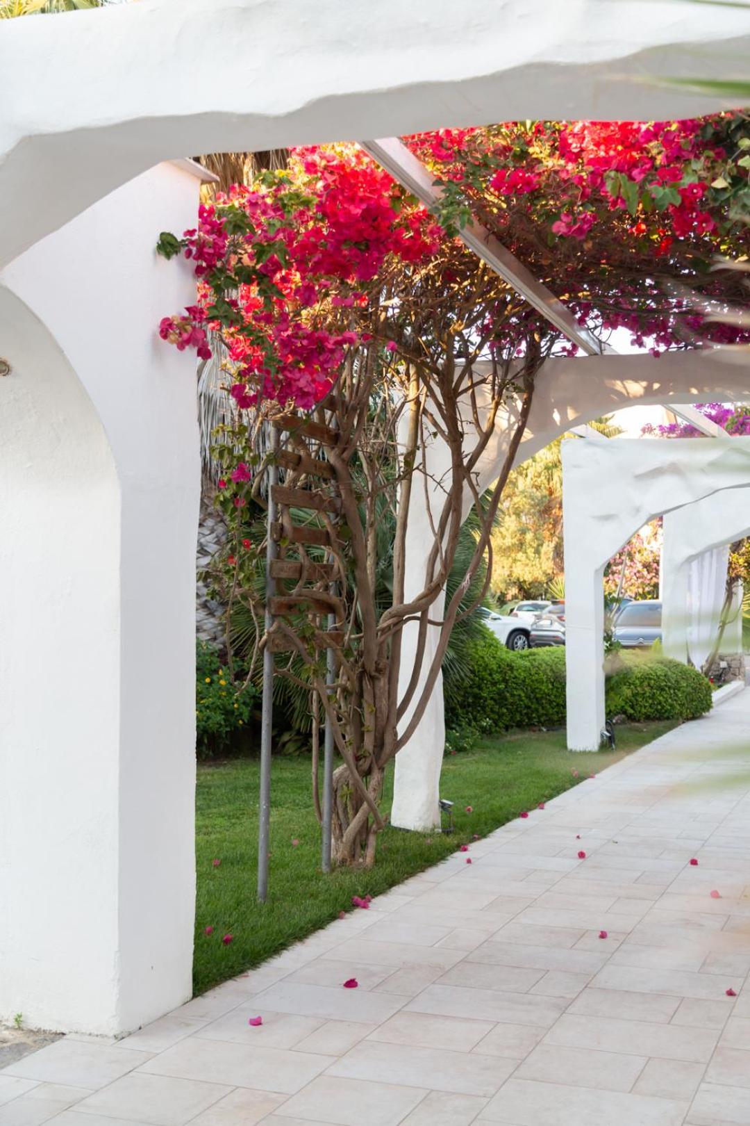 Villa Edelweiss Bacoli Exterior foto